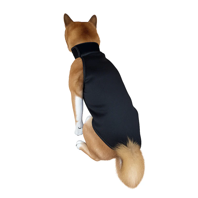 CEST® Armor Extrem Hundeweste Bissschutz Stichschutz Schnittschutz - Image 3